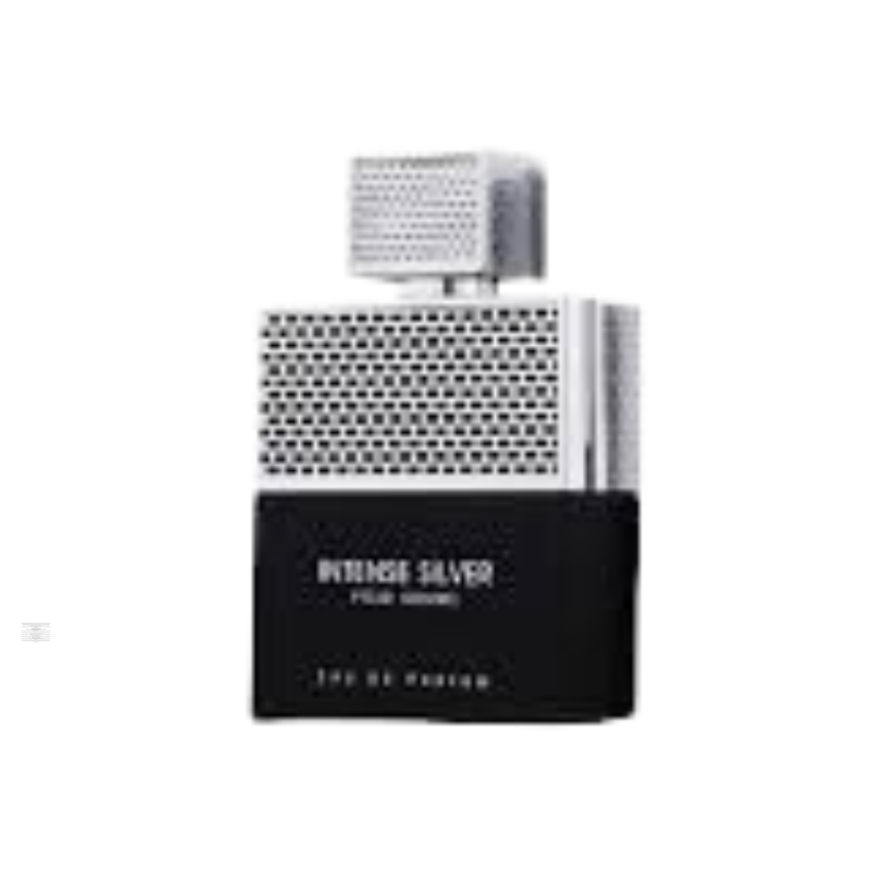 Bottle only of Fragrance World Intense Silver Pour Homme 100 ml Eau de Parfum (no packaging)